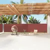 Image de vidaXL Auvent Latéral Marron 160x1200 cm