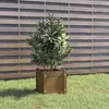 Image de vidaXL Jardinière extérieur - Marron miel