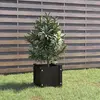 Image de vidaXL Jardinière d'extérieur Noir 31x31x31 cm