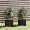 Image de vidaXL Jardinières Extérieures x2 - Noir