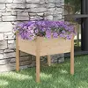 Image de vidaXL Jardinière - Bois de pin