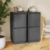 Image de vidaXL Buffets 2 pcs gris