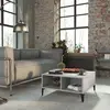 Image de vidaXL Table basse 60x60x30 cm - Sonoma gris
