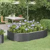 Image de vidaXL Lit surélevé jardin - Anthracite oval