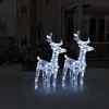Image de vidaXL Rennes de Noël lumineux - 2 pcs - 80 LED