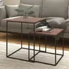 Image de vidaXL Ensemble Table basse 2 pcs