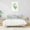 Image de VIDAXL Tables de chevet 2 pcs - Chêne sonoma 40x39x40 cm