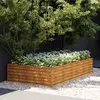 Image de VidaXL Lit surélevé de jardin acier corten