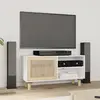Image de vidaXL Meuble TV - Blanc