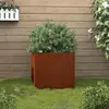 Image de vidaXL Jardinière acier corten