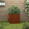 Image de VIDAXL Jardinière - Acier corten, 42x40x39 cm