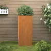 Image de vidaXL Jardinière acier corten