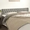Image de vidaXL Tête de lit 2 pcs 100x7x78/88 cm - Gris clair