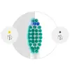 Image de Philips Têtes de brosse Sonicare ProResults HX6012/87 - Lot de 2