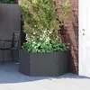 Image de vidaXL Jardinière modulaire PP - Anthracite