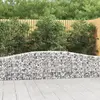 Image de vidaXL Paniers à gabions 2 pcs 400 cm