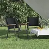 Image de vidaXL Chaises de camping 2 pièces noir