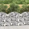 Image de vidaXL Panier de gabions arqué 100x50 cm