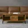 Image de vidaXL Table Basse - Chêne Fumé