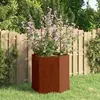 Image de vidaXL Jardinière Rouillée - Acier Corten