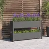 Image de vidaXL Jardinière Bois de pin Gris