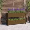Image de VidaXL Jardinière marron miel Bois de pin