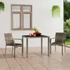 Image de vidaXL Chaises de jardin - Lot de 2 Gris