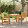 Image de vidaXL Ensemble de salle à manger pour jardin 3 pcs Marron