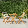 Image de VIDAXL Ensemble bistro pliable 3 pcs