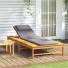 Image de vidaXL Chaise Longue avec Coussin Gris Foncé