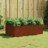 Image de VidaXL Lit surélevé de jardin acier corten