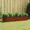 Image de VIDAXL Lit surélevé de jardin - 200x80x40 cm - Acier corten