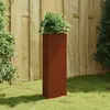 Image de vidaXL Jardinière en acier corten 30x26x75 cm