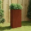 Image de vidaXL Jardinière acier corten - Rouillé