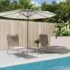 Image de vidaXL Chaises longues pliables - Marron (Lot de 2)