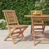 Image de vidaXL Chaises de jardin pliantes - Lot de 2 - Bois massif teck