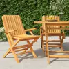 Image de VidaXL Chaises de jardin pliantes - Teck massif