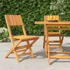 Image de vidaXL Chaises pliantes de jardin - Lot de 2 - Teck massif