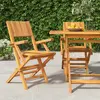 Image de vidaXL Chaises de jardin pliantes lot de 2