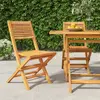 Image de vidaXL Chaises de jardin pliantes - Lot de 2 - Teck massif