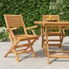 Image de vidaXL Chaises de jardin pliantes en teck - Lot de 2