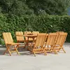Image de vidaXL Chaises de jardin pliantes bois massif teck - Lot de 8