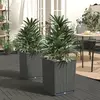 Image de VIDAXL Jardinières 2 pcs 30x30x37 cm - Polypropylène noir