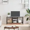 Image de Meuble TV vidaXL - Sonoma gris/Fer