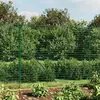 Image de vidaXL Clôture en treillis - 2,2x25 m Vert