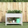 Image de vidaXL Lit surélevé de jardin 110x45x79 cm Polypropylène