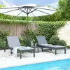 Image de vidaXL Chaises longues lot de 2 pin massif gris