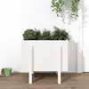 Image de vidaXL Jardinière Bois massif - Blanc