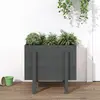 Image de vidaXL Jardinière - Bois de pin massif gris