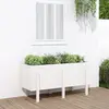 Image de vidaXL Lit surélevé de jardin - Blanc